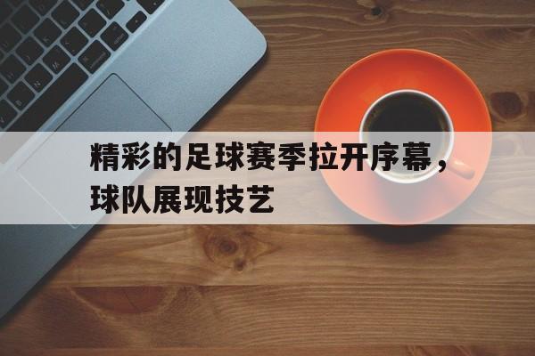 赌博网址-足球联赛开始